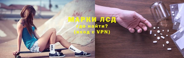PSILOCYBIN Армянск