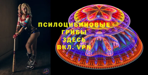 эйфоретик Аркадак