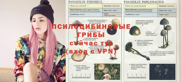 эйфоретик Аркадак