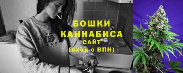 PSILOCYBIN Армянск
