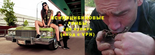 PSILOCYBIN Армянск