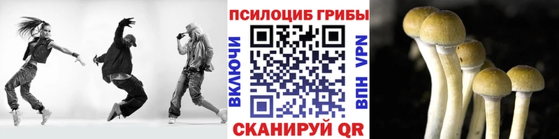 Псилоцибиновые грибы прущие грибы где можно купить Цивильск