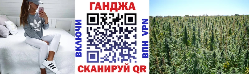 Бошки Шишки гибрид  Цивильск 